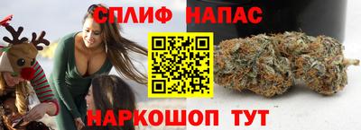 стаф Можайск