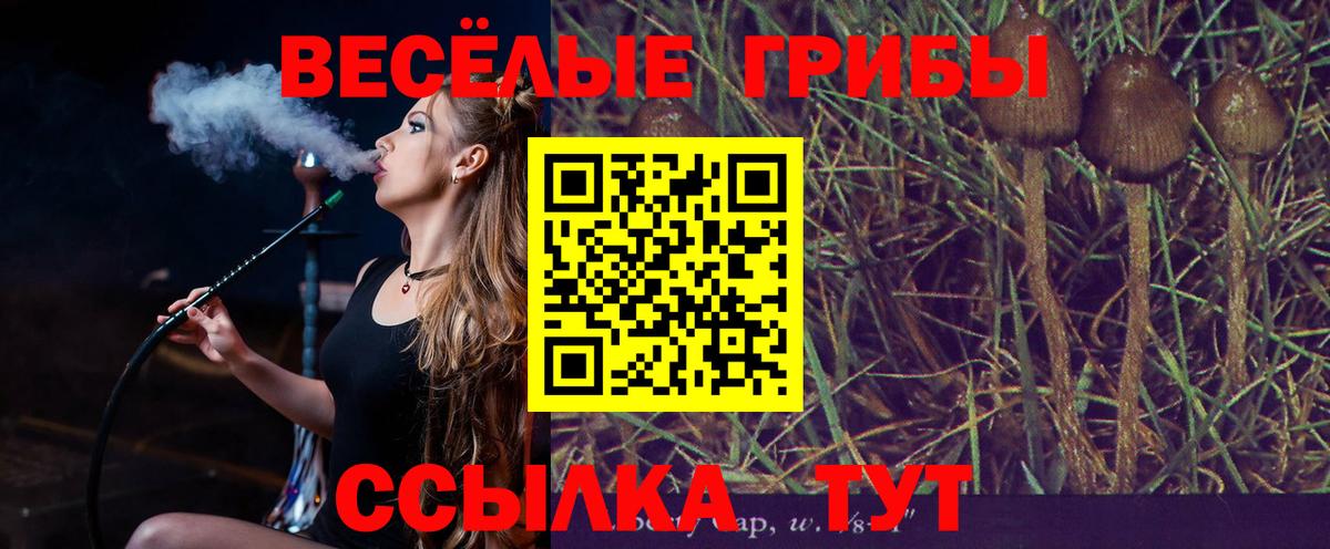 Галлюциногенные грибы ЛСД Жигулёвск
