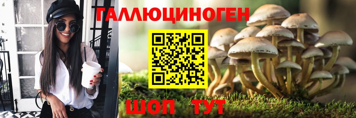 Жигулёвск  Псилоцибиновые грибы мухоморы  Вход с VPN  купить наркоту  Псилоцибиновые грибы Cubensis 